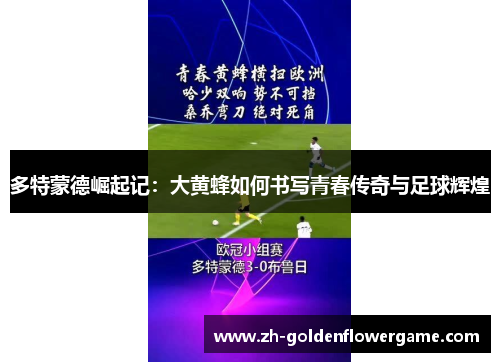 多特蒙德崛起记：大黄蜂如何书写青春传奇与足球辉煌