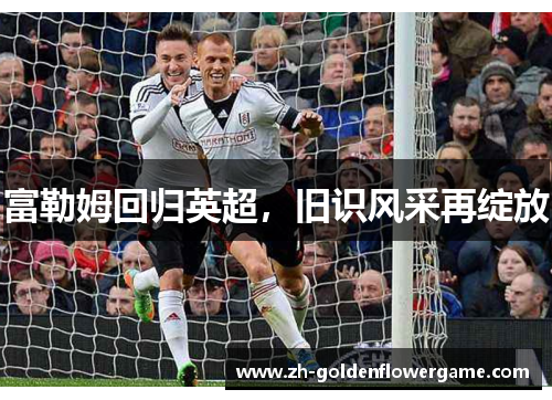 富勒姆回归英超，旧识风采再绽放