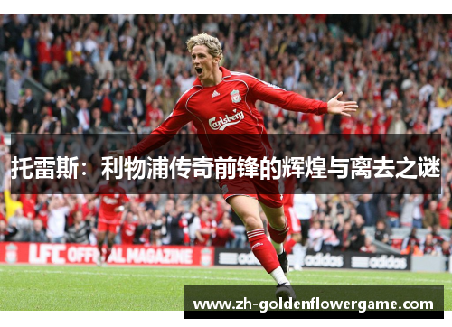 托雷斯：利物浦传奇前锋的辉煌与离去之谜
